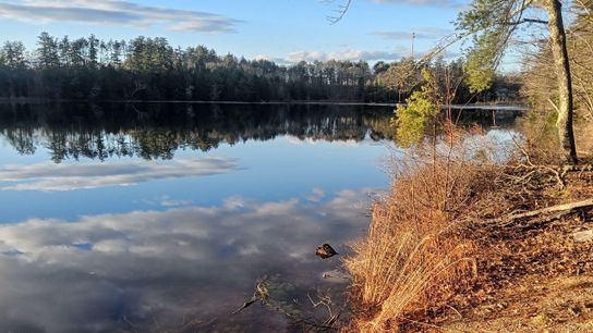 LAND FOR SALE ON HAMILTON POND (Land For Sale)