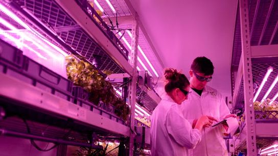 Opportunities Sprout in Maine’s Potato Industry for Newcomers and Relocators (featured)