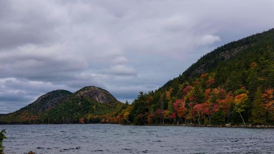 Androscoggin County Housing Market: Maine’s Hot Spot for Home Sweet Homes! (featured)