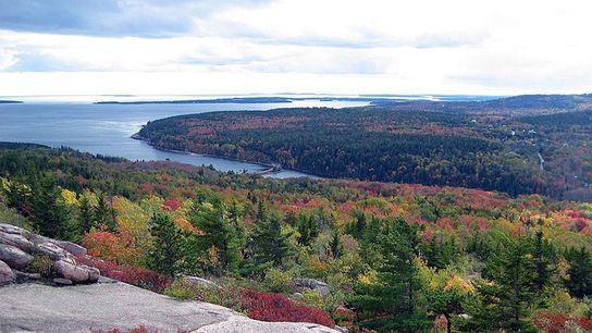 Maine Leaf-Peepers & a Federal Shutdown: What to Expect at Acadia and Beyond (Fall 2025) (Live in Maine )