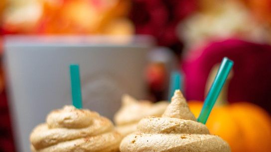 Newcomers’ Guide to Maine’s Fall Flavors: What’s Trending in 2025 (Live in Maine )