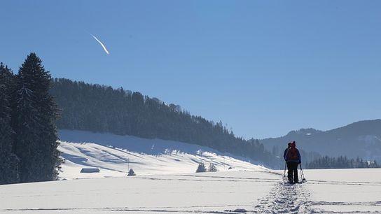 Outdoor Winter Activities with Loon Echo Land Trust and AARP Maine (featured)