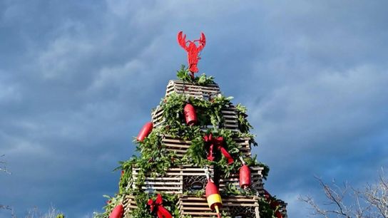 Christmas Tree Prices Surge Early, Then Slide Toward Christmas: What Maine Newcomers Should Know (featured)