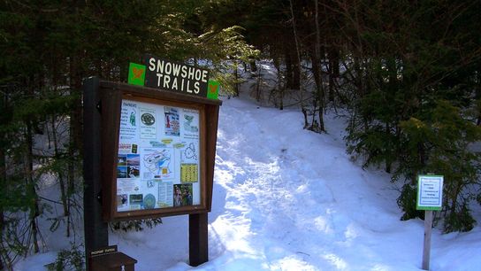 Aroostook State Park delivers an experience that is both approachable and memorable. 