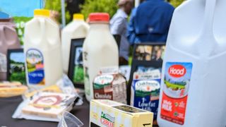Maine milk is Legen-Dairy. Here’s how you check for local Maine milk at the grocer (Live in Maine )