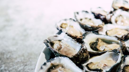 Maine’s Thriving Oyster Economy (Live in Maine )