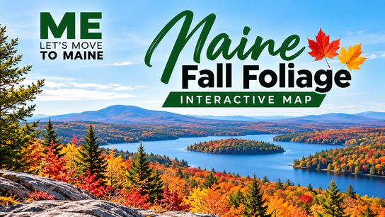 FALL FOLIAGE REPORTS  (weather updates )