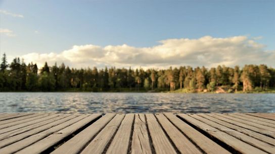 Summer Camps for Kids in Maine  (Live in Maine )